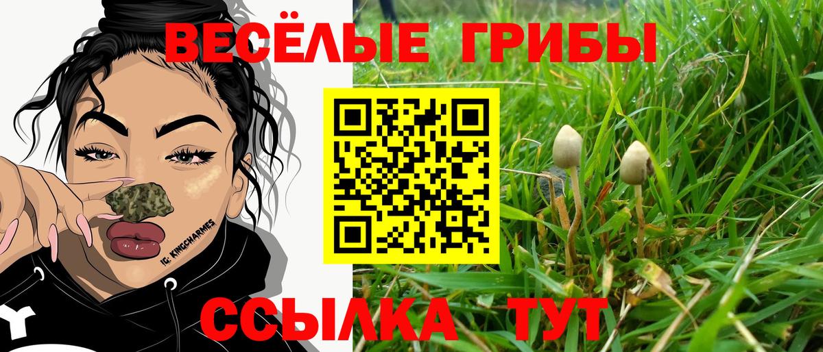 Биробиджан  Псилоцибиновые грибы Psilocybe  Вход с VPN  Галлюциногенные грибы Psilocybe 
